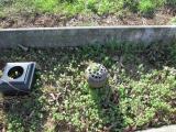 image of grave number 379599